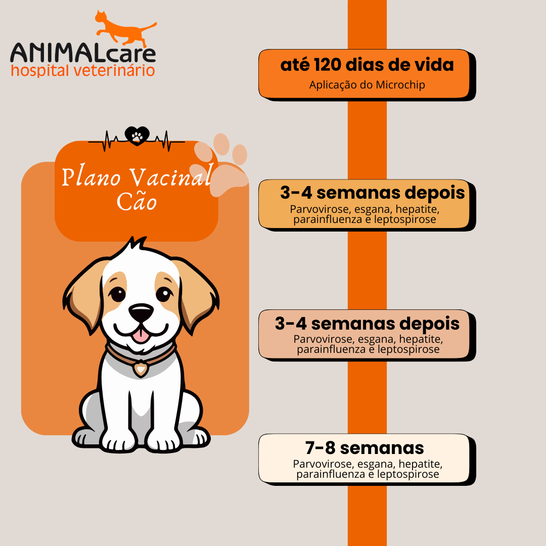 plano vacinação cão