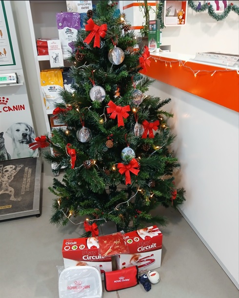 presentes que temos para cães e gatos na árvore de Natal do Hospital Veterinário ANIMALcare