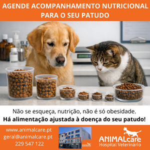 O Hospital Veterinário ANIMALcare, no Porto, tem disponíveis consultas de acompanhamento de nutrição e pode fazer a marcação através do nosso website