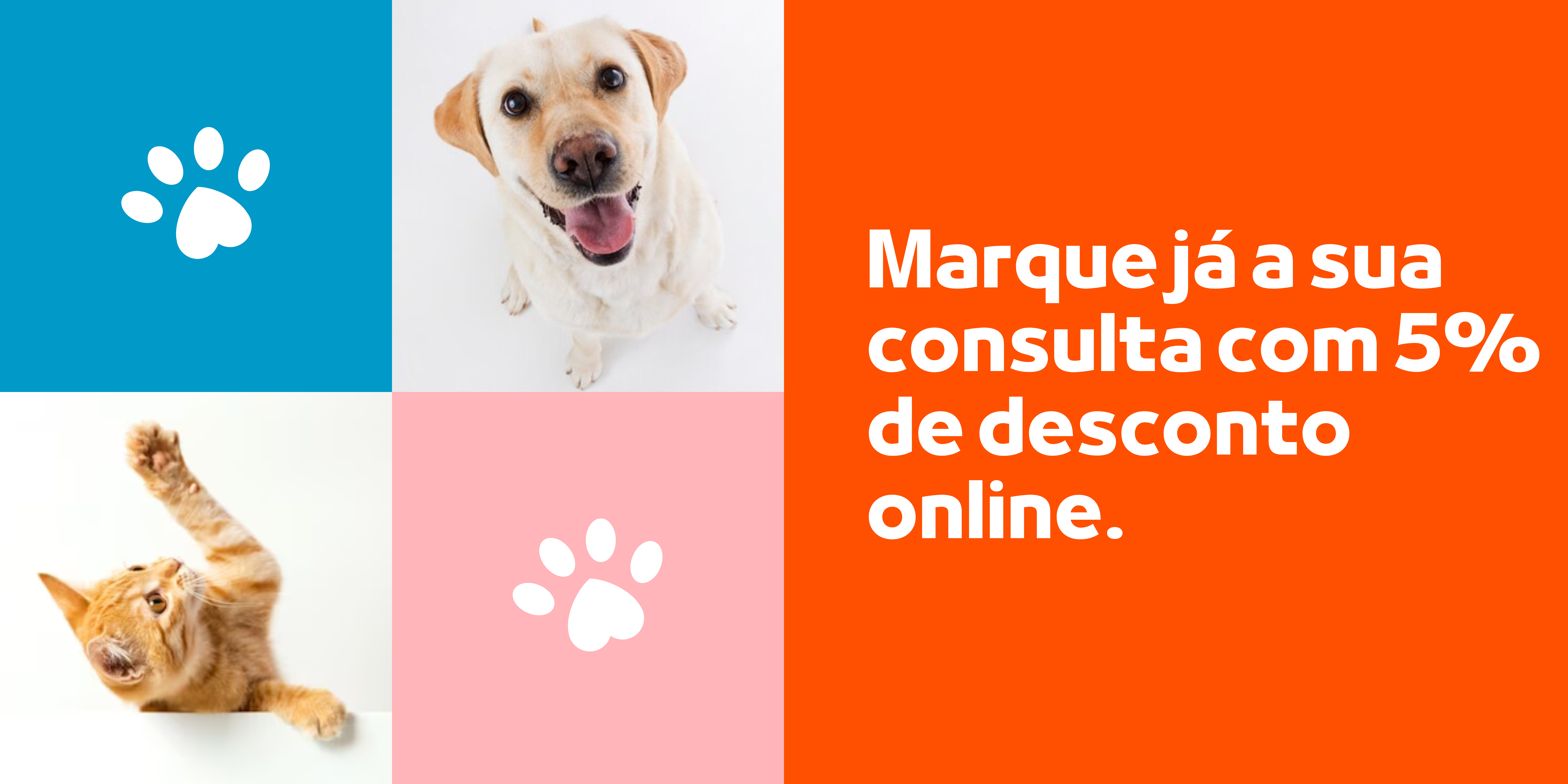 marcação consulta