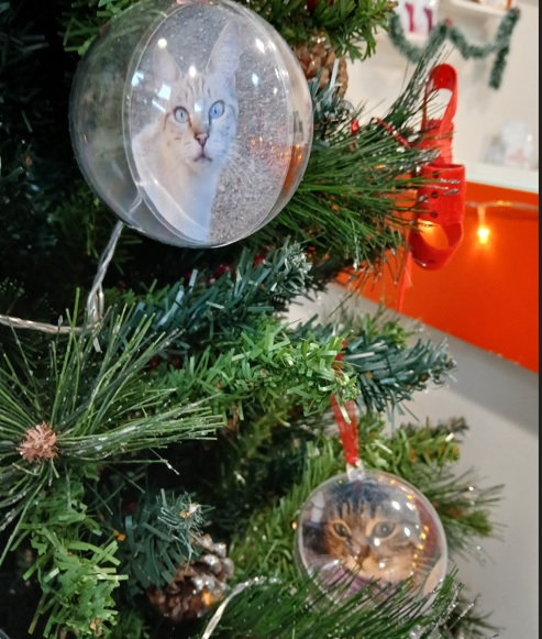 imagens dos animais da equipa do Hospital Veterinário ANIMALcare usadas como efeitos na árvore de Natal