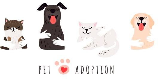 pet adoção 