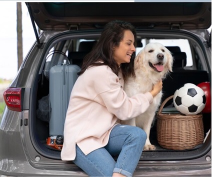 Transporte de animais de cães e gatos em viaturas evitar temperaturas elevadas, unca deixe o seu animal de estimação fechado dentro do veículo.