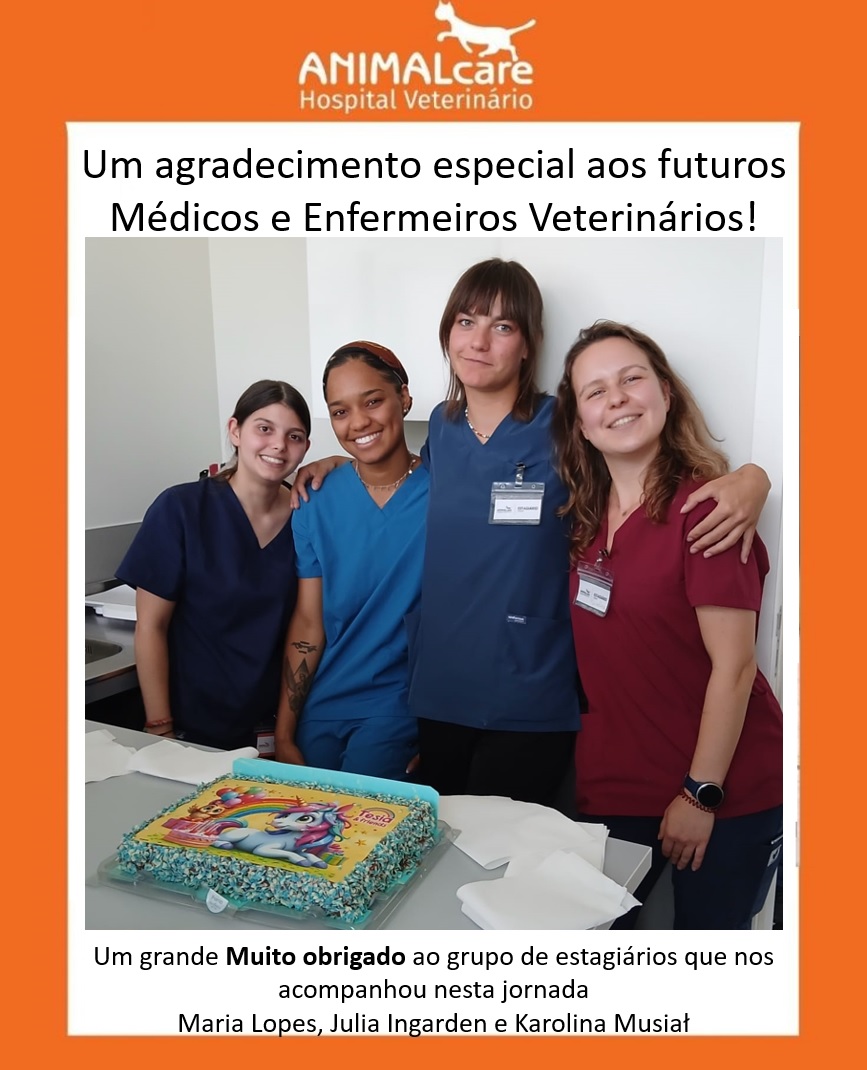 Figura 2 - Imagem do dia de despedida de futuros Médicos e Enfermeiros Veterináriose. Dia 30 de Maio de 2026 concluímos mais um ciclo de estágios no Hospital Veterinário ANIMALcare e não podíamos estar mais orgulhosos do grupo de estagiários que nos acompanhou nesta jornada: Maria Lopes, Julia Ingarden e Karolina Musia?