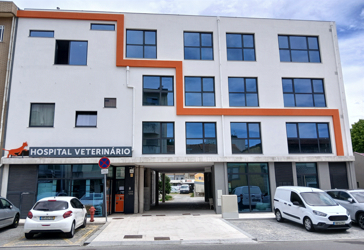 Hospital veterinário - Prevista abertura dos novos espaços da clínica dos gatos e bem estar animal