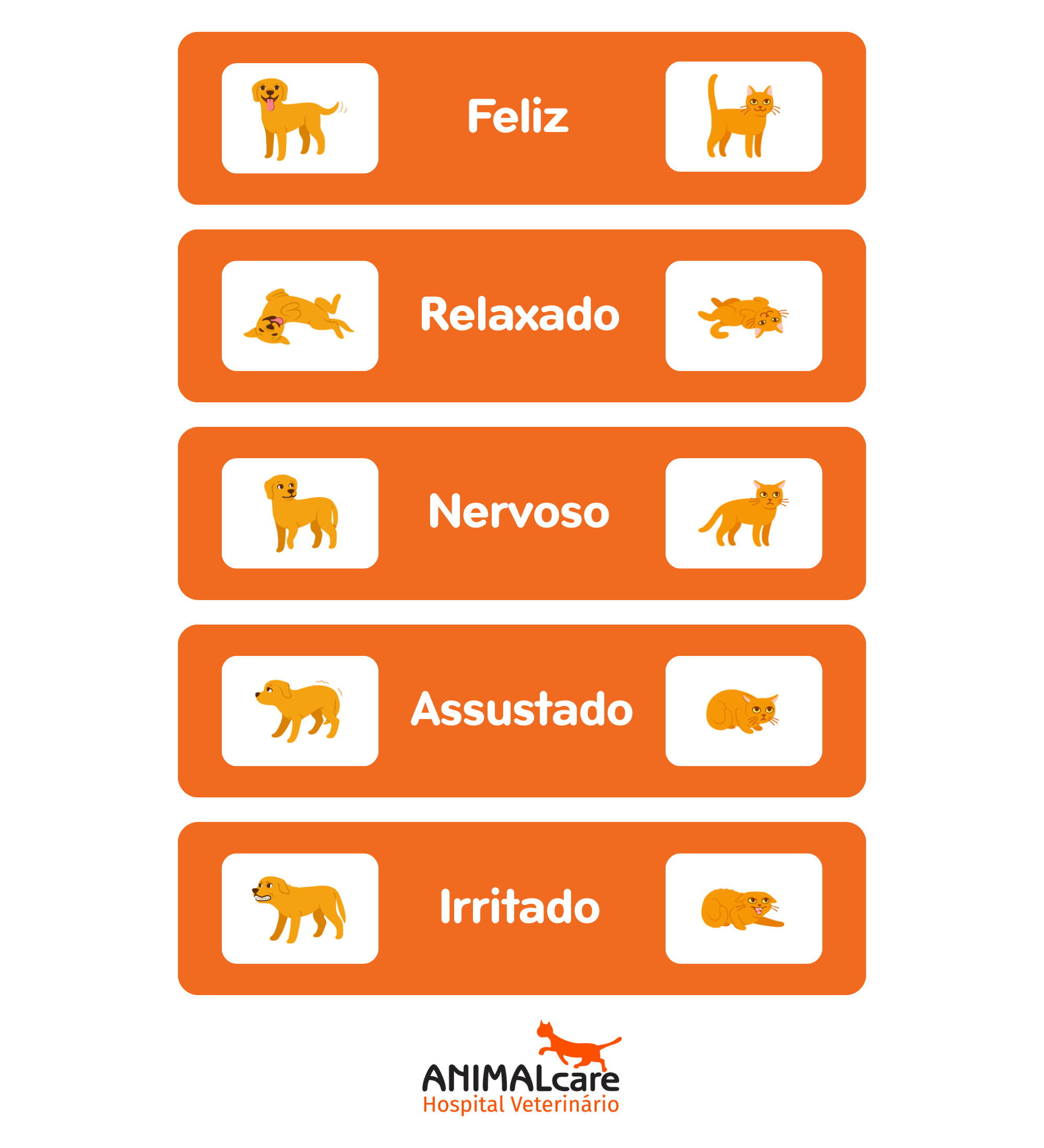 Infográfico a apresentar as diferentes linguagens corporais de cães e gatos, conforme suas emoções