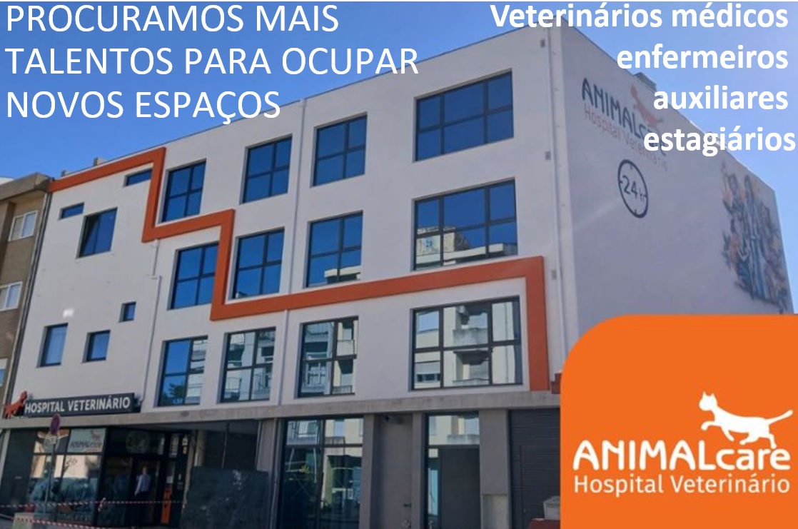 O Hospital Veterinário ANIMALcare, pertence à empresa AVD – Assistência Veterinária ao Domicílio, Lda, fundada em 2002, com capital 100% nacional, é o único hospital veterinário em Matosinhos e ao lado da estrada circunvalação do Porto. Crescemos a pensar na medicina de excelência, disponibilizamos vários serviços de qualidade, com atendimento 24 horas por dia e todos os dias do ano. Somos uma equipa de médicos, enfermeiros e auxiliares veterinários apaixonados pela profissão e pelos animais. Todos os dias esforçamo-nos por fazer melhor! Podes conhecer mais sobre a nossa história de sucesso na nossa página web