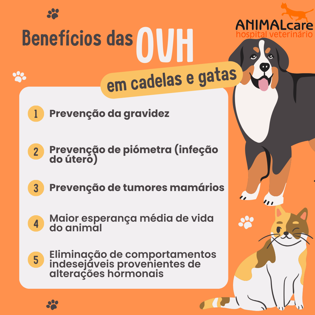 OVH Benefícios
