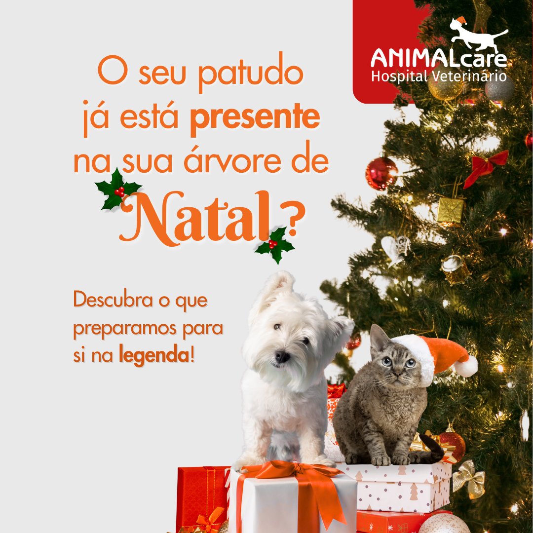 Concurso de fotografia de Natal no hospital veterinário ANIMALcare
