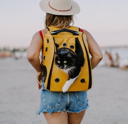 Transportadoras de cães e gatos mais maleáveis é prática mas podem não garantir a correta ventilação e segurança