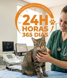 Urgências Veterinárias: Porquê é Necessário o Pré-Pagamento