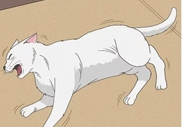 Convulsões em cães e gatos: o que saber como reconhecer e quando procurar ajuda veterinária