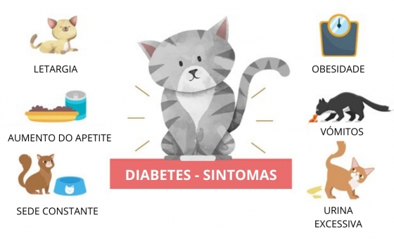 Diabetes em Cães e Gatos