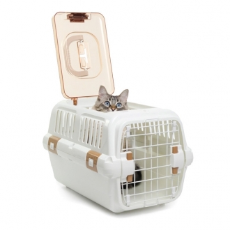 Cuidados com o transporte de gatos para o veterinário