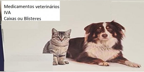 Saiba onde comprar medicamentos veterinários