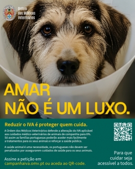 Os preços dos serviços da medicina veterinária