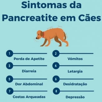 Pancreatite Canina uma Urgência Veterinária